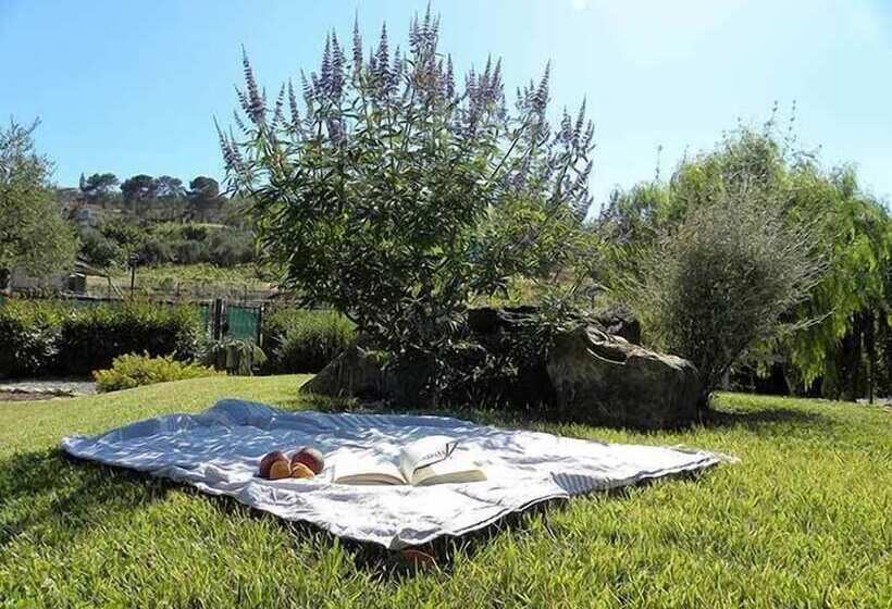 אתר נופש Rebi Village