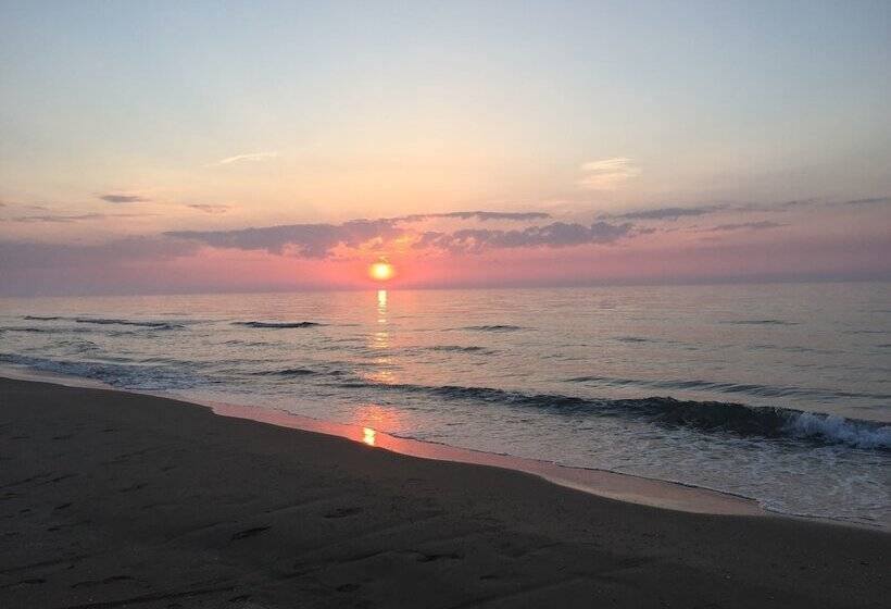 منتجع Viola Club Village