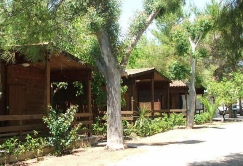 منتجع Viola Club Village