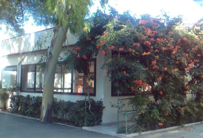 منتجع Viola Club Village