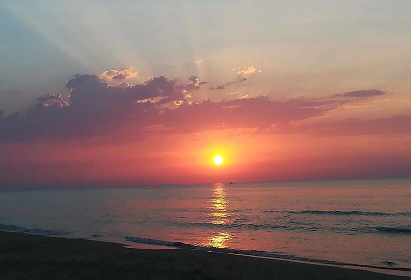 منتجع Viola Club Village