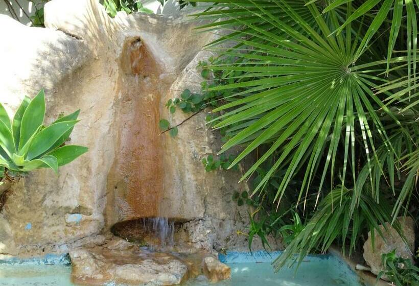 Bed and Breakfast Il Giadino Di Enea