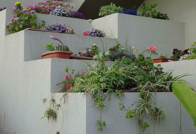 Bed and Breakfast Il Giadino Di Enea