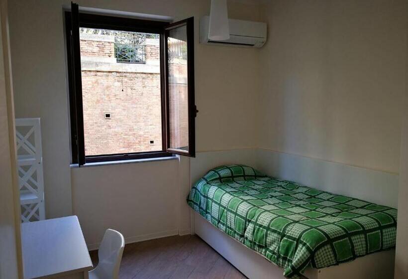 تختخواب و صبحانه Backpackers