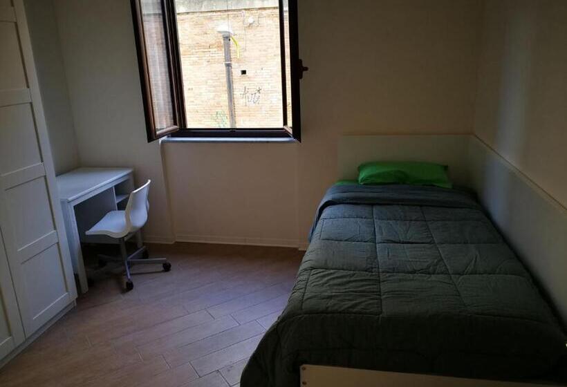 مبيت وإفطار Backpackers