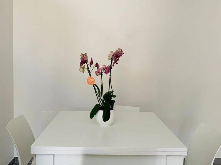 צימר Casa Castello