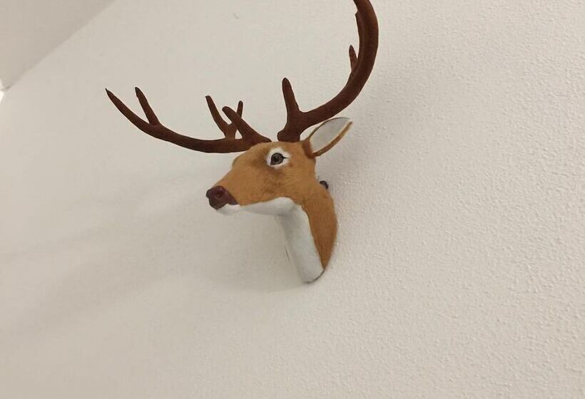 مبيت وإفطار Il Capriolo  Bed&breakfast