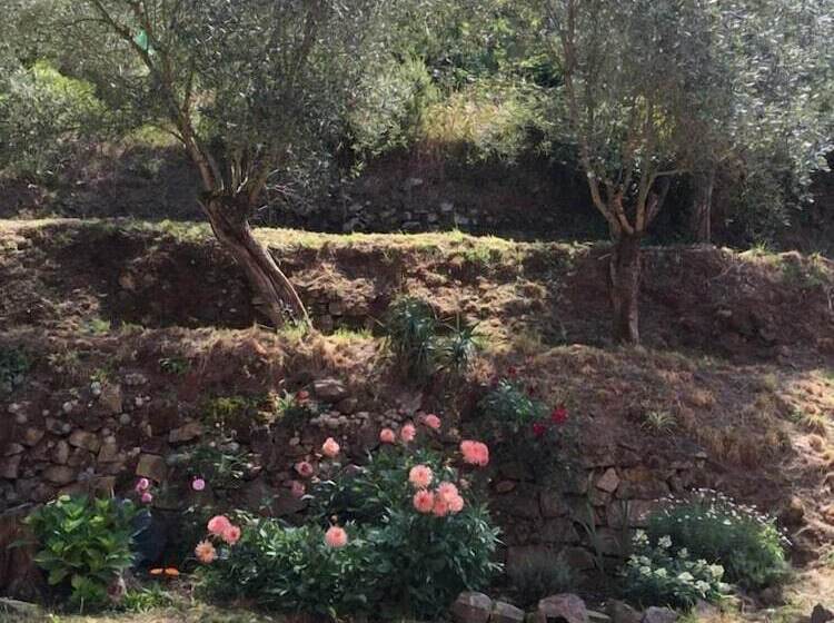 مبيت وإفطار Il Capriolo  Bed&breakfast