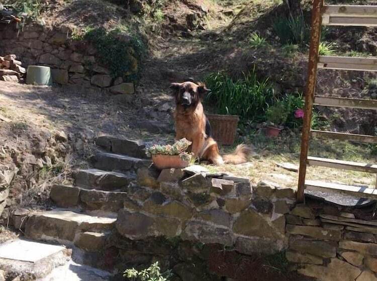 مبيت وإفطار Il Capriolo  Bed&breakfast