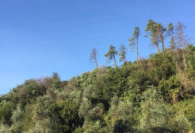 مبيت وإفطار Il Capriolo  Bed&breakfast