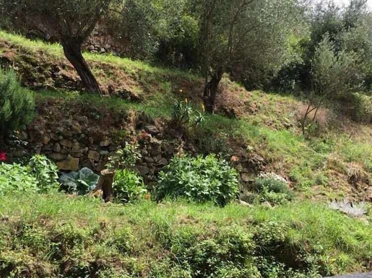 مبيت وإفطار Il Capriolo  Bed&breakfast