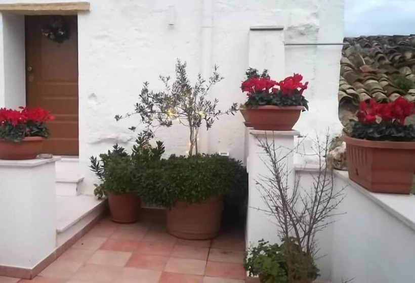 مبيت وإفطار Vico Marina