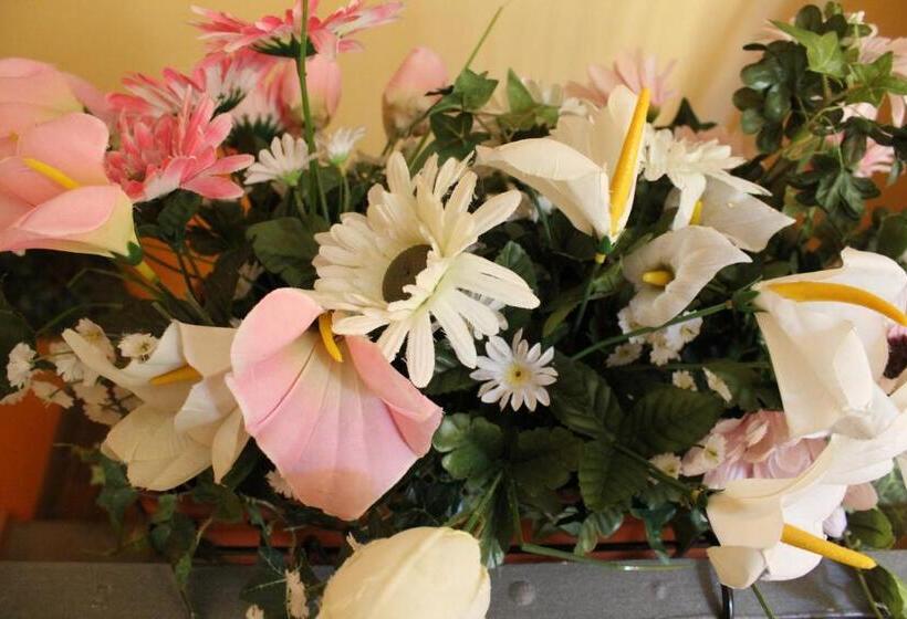 ホテル Albergo Del Lago