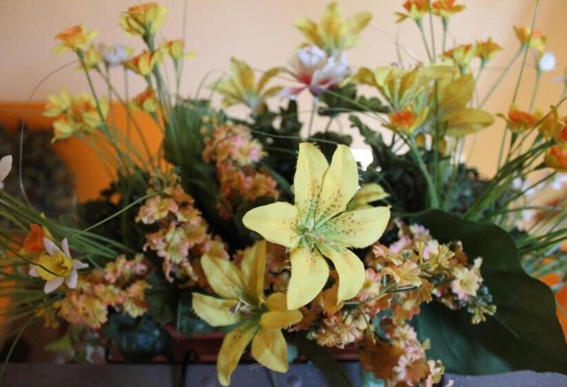 ホテル Albergo Del Lago