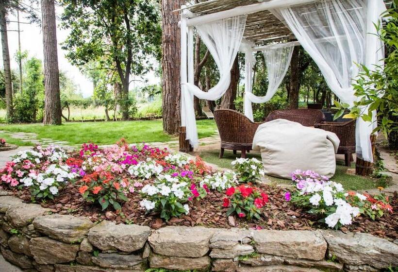 בית מלון כפרי La Tavernetta Dei Ronchi