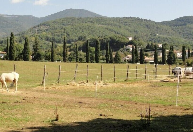 فندق ريفى Agriturismo Cardito