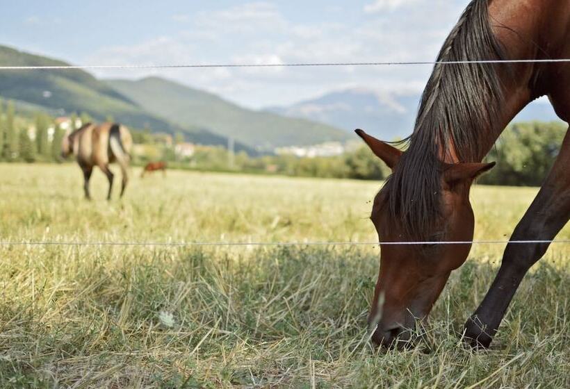 فندق ريفى Agriturismo Cardito