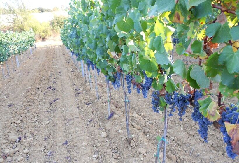 בית מלון כפרי Agriturismo I Casamenti