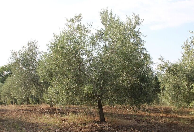 בית מלון כפרי Agriturismo I Casamenti