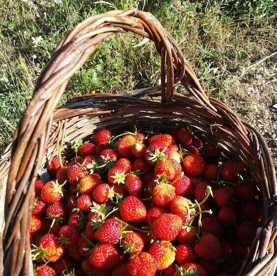 فندق ريفى La Torre Rossa