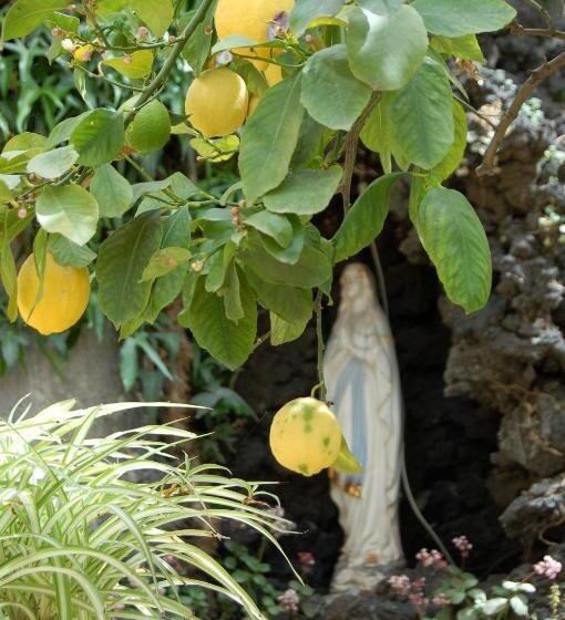 La Durlindana B&b