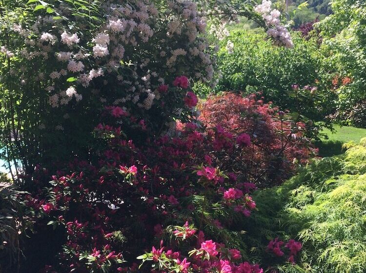 פנסיון Affittacamere Il Melograno