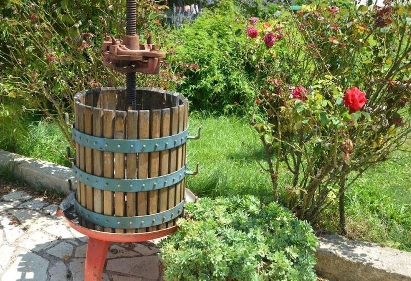 بنسيون Dal Canonico