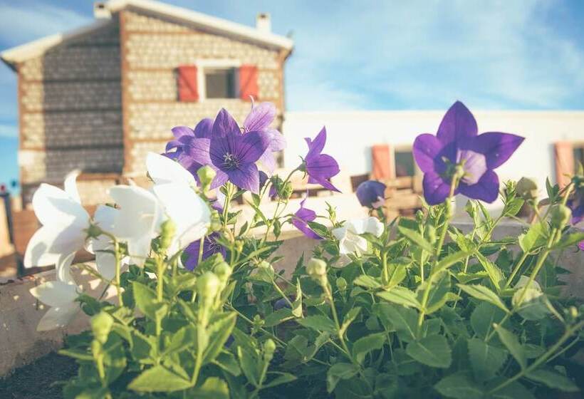 بنسيون Masseria Piana Della Macina