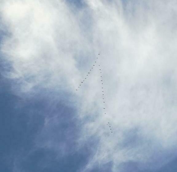 펜션 Mediterranea Guesthouse B&b