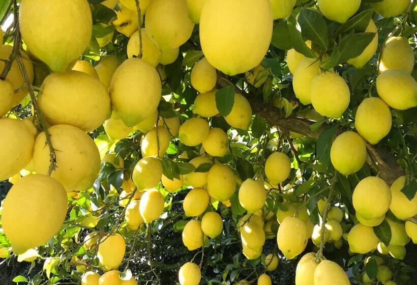 Relais Masseria Della Colomba   Agriturismo