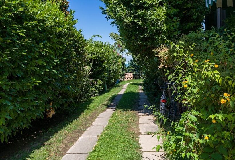 Bed and Breakfast Au Jardin Fleuri