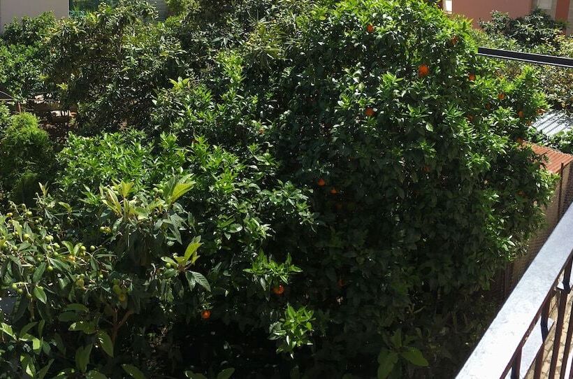 تختخواب و صبحانه Casa Di Angela