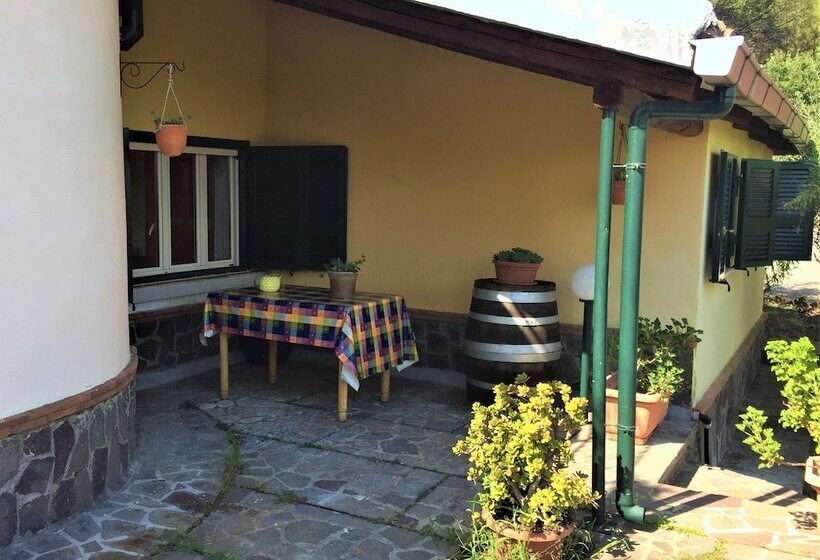 住宿加早餐  Casale Rendine