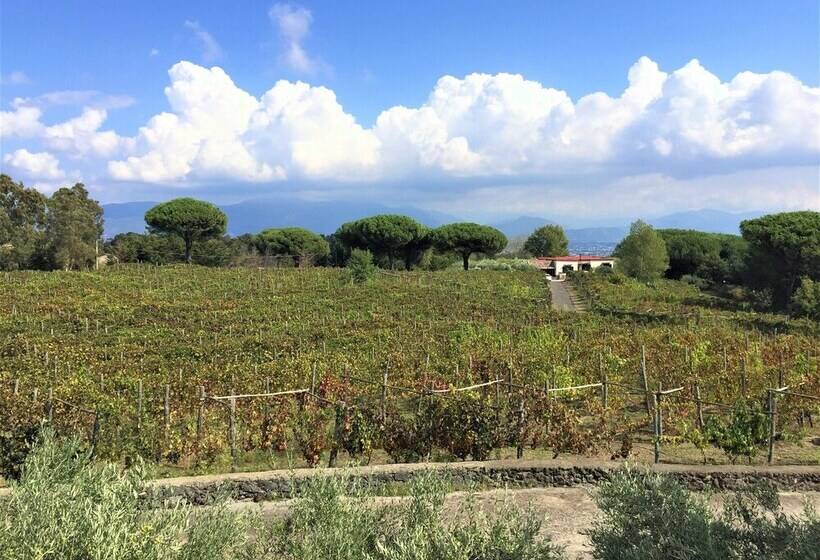 住宿加早餐  Casale Rendine