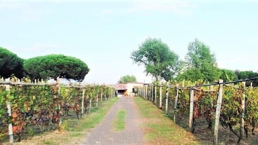 住宿加早餐  Casale Rendine