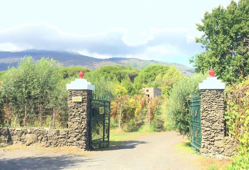 住宿加早餐  Casale Rendine