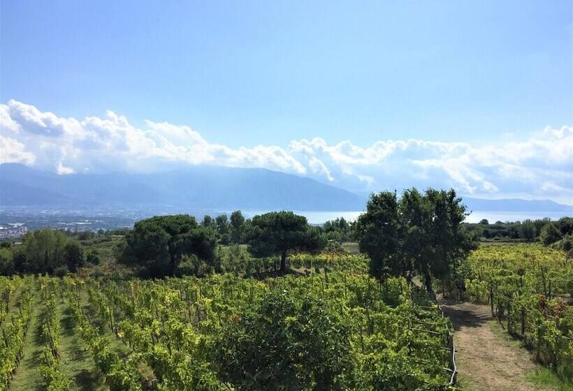 住宿加早餐  Casale Rendine