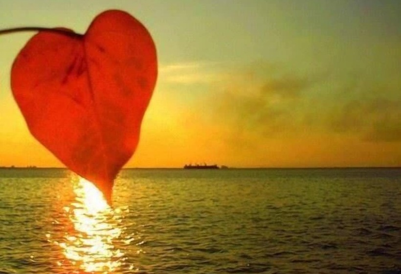 住宿加早餐 I Cinque Continenti