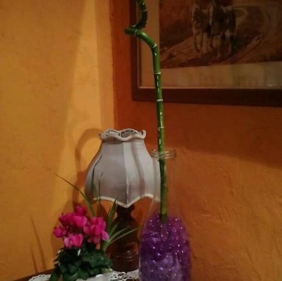 مبيت وإفطار Il Castagneto