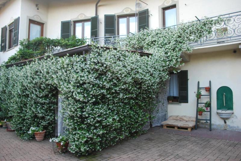 Bed and Breakfast La Curandera