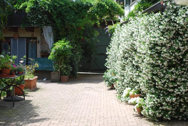 Bed and Breakfast La Curandera