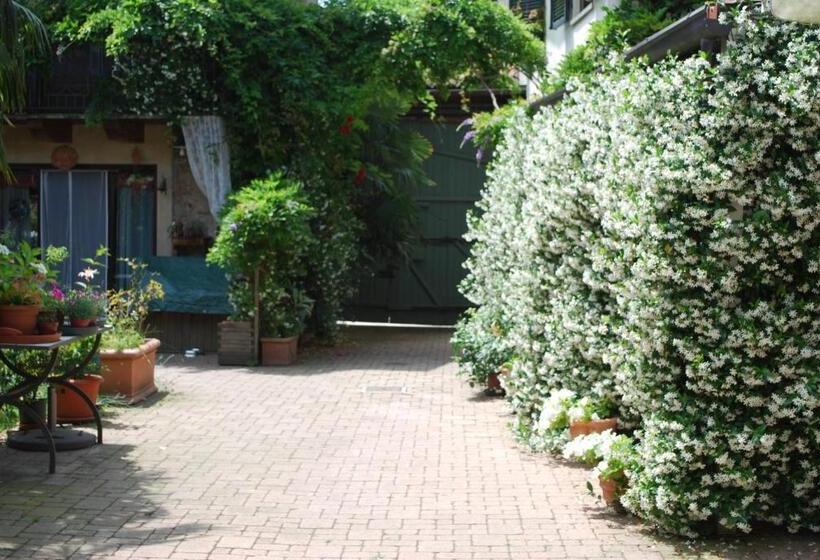 Bed and Breakfast La Curandera