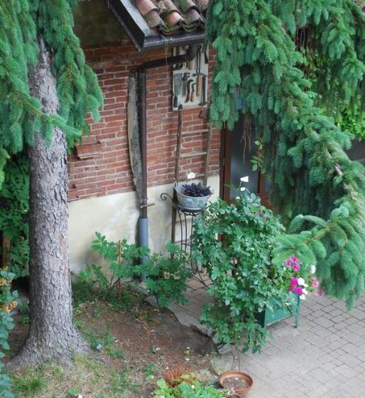 Bed and Breakfast La Curandera