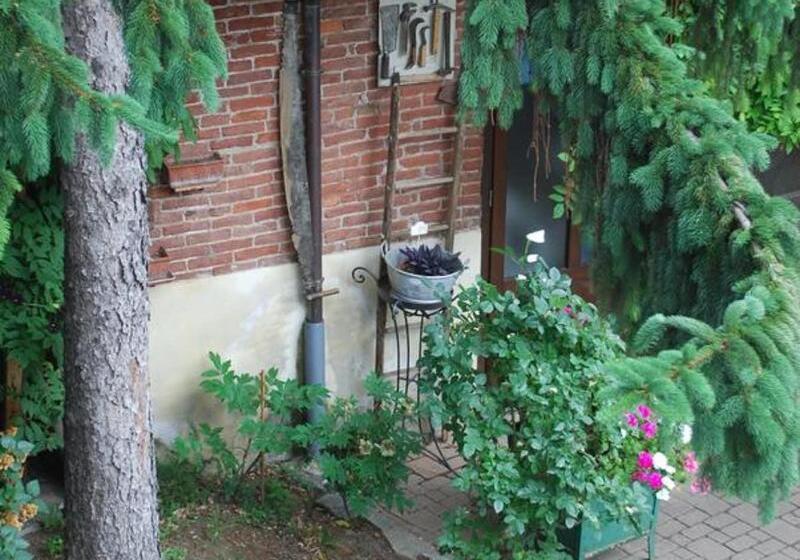 Bed and Breakfast La Curandera