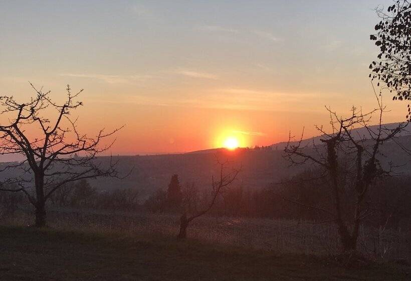 ベッドアンドブレックファースト Valpolicella Hills