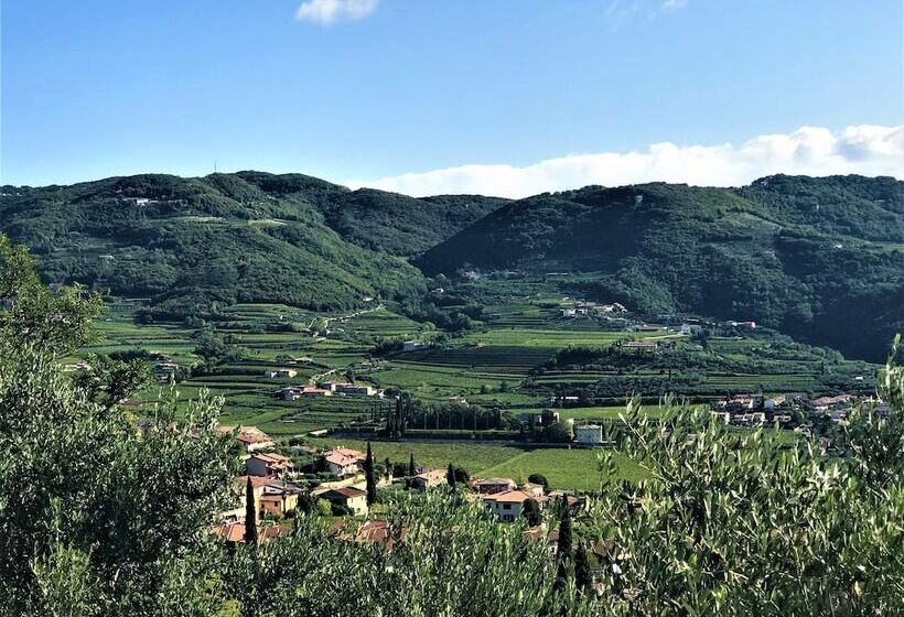 ベッドアンドブレックファースト Valpolicella Hills