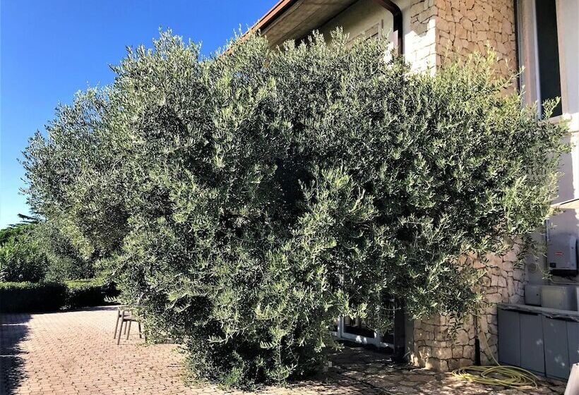 ベッドアンドブレックファースト Valpolicella Hills