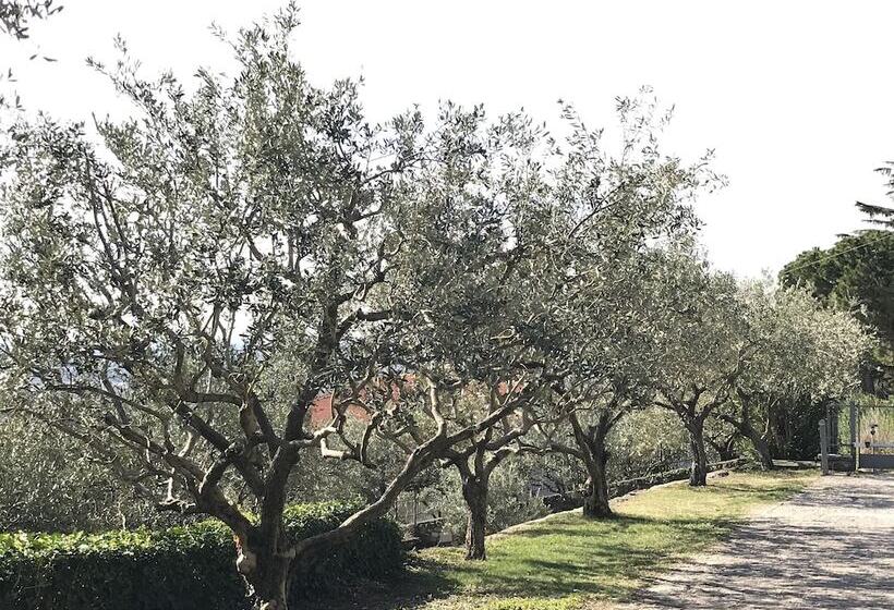 ベッドアンドブレックファースト Valpolicella Hills