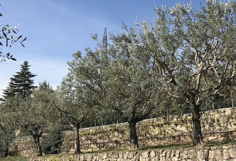 ベッドアンドブレックファースト Valpolicella Hills