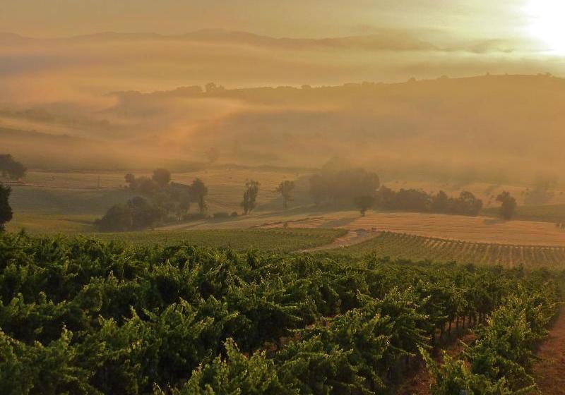 Genius Loci Country Inn